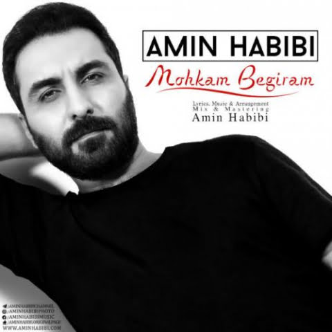 دانلود آهنگ امین حبیبی محکم بگیرم 1 amin habibi mohkam begiram 2022 08 15 00 41