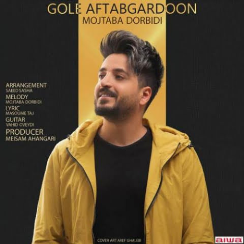 دانلود آهنگ مجتبی دربیدی گل آفتاب گردون 1 mojtaba dorbidi gole aftabgardon 2022 08 06 00 59
