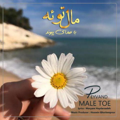 peyvand male toe 2022 08 27 19 30