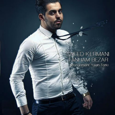 saeed kermani tanham bezar 2022 08 31 13 51