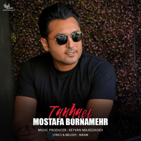 دانلود آهنگ مصطفی برنامهر تنهایی 1 mostafa bornamehr tanhaei 2022 11 01 19 49
