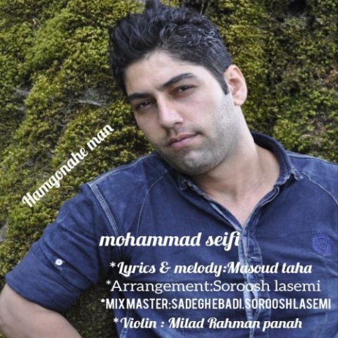 mohammad seifi hamgonahe man 2023 01 04 13 10
