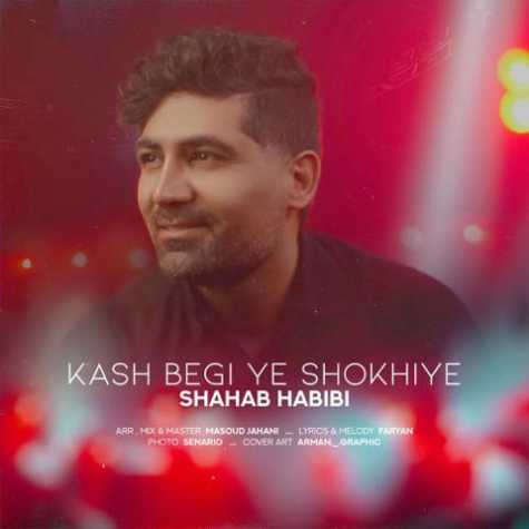 دانلود آهنگ شهاب حبیبی کاش بگی یه شوخیه 1 shahab habibi kash begi ye shokhiye 2023 03 17 14 45
