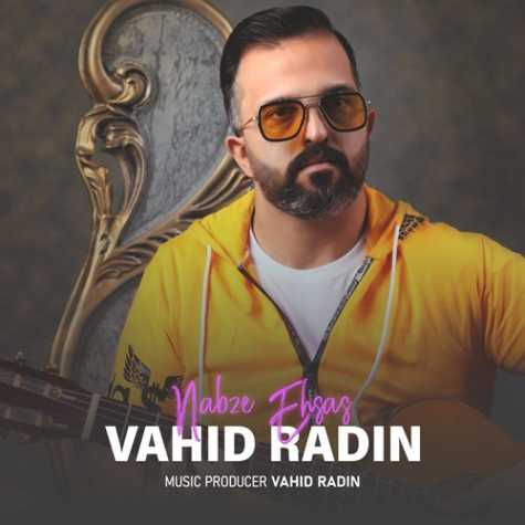 دانلود آهنگ وحید رادین نبض احساس 1 vahid radin nabze ehsas 2023 03 06 17 26
