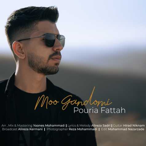 دانلود آهنگ پوریا فتاح مو گندمی 1 pouria fattah moo gandomi 2023 04 17 00 20