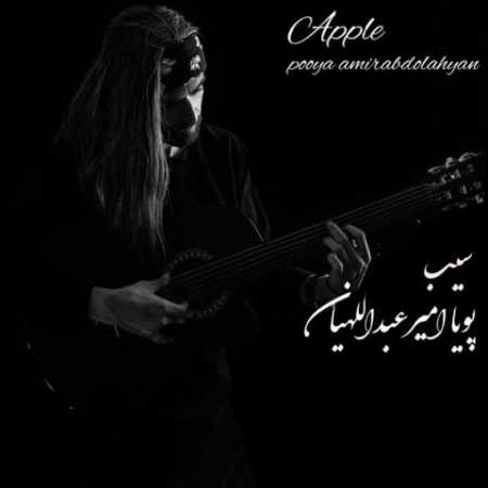 pooya amirabdolahyan sib 2023 05 11 23 15