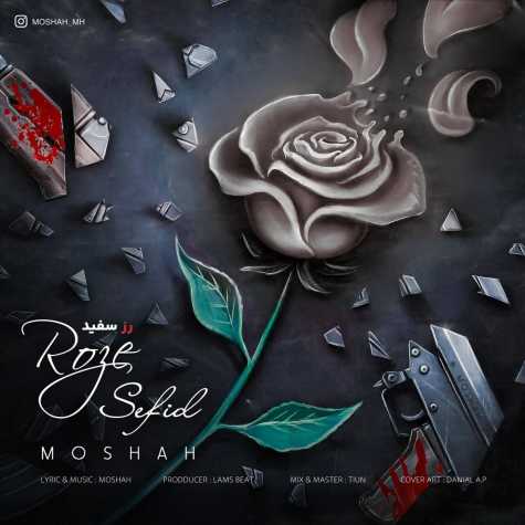 دانلود آهنگ مشاح رز سفید 1 moshah roze sefid 2023 06 22 19 45