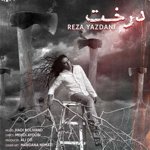 reza yazdani derakht 2023 06 02 18 05