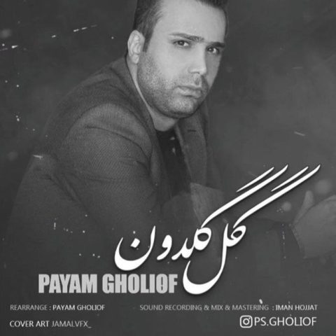 دانلود آهنگ پیام قلی اف گل گلدون 1 payam gholiof gole goldon 2023 08 28 18 08