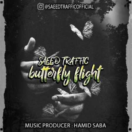 saeed traffic butterfly flight 2023 08 27 15 37