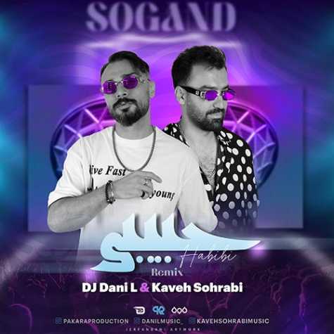 دانلود آهنگ دی جی دنی ال و کاوه سهرابی حبیبی (ریمیکس) 1 dj dani l kaveh sohrabi habibi 2023 09 19 15 12