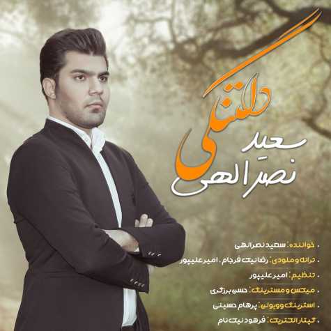 دانلود آهنگ سعید نصرالهی دلتنگی 1 saeid nasrollahi deltangi 2023 09 10 16 01