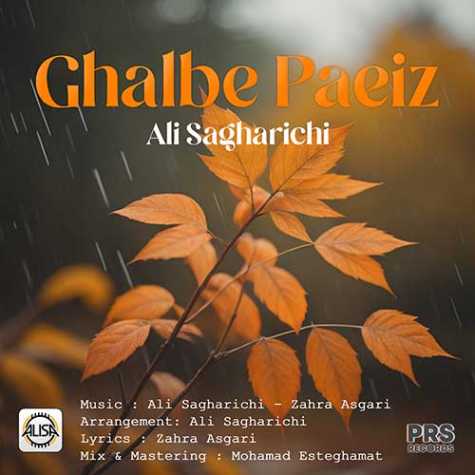 ali sagharichi ghalbe paeiz 2023 11 11 12 04