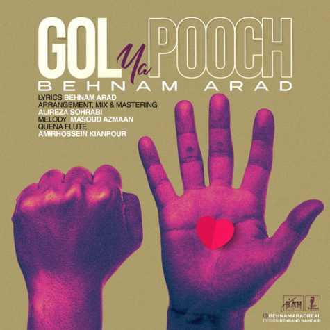دانلود آهنگ بهنام آراد گل یا پوچ 1 behnam arad gol ya pooch 2023 11 01 17 35