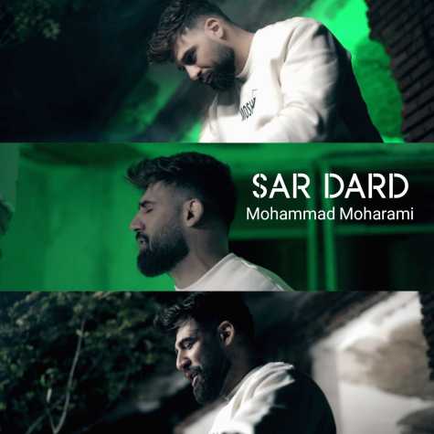 mohammad moharami sardard 2023 11 29 14 23