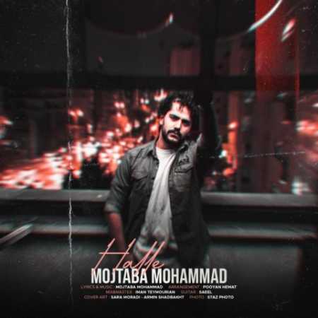 دانلود آهنگ مجتبی محمد حله 1 mojtaba mohammad halle 2023 11 07 19 32