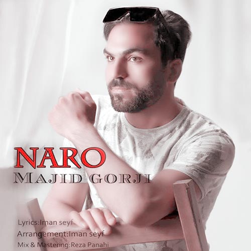 Majid Gorji2
