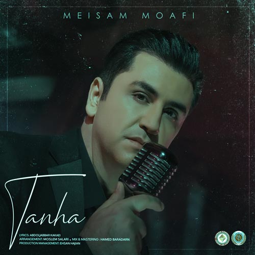 Meisam Moafi Tanha