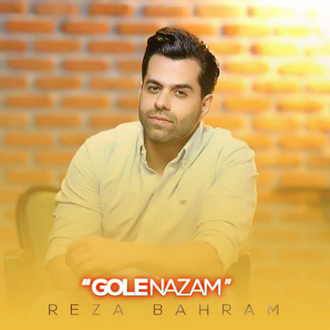 دانلود آهنگ رضا بهرام گل نازم (دلی) 1 reza bahram gole nazam 2023 12 08 10 07