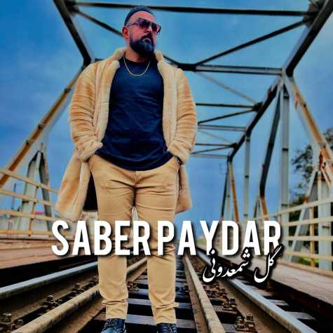 saber paydar gole shamdooni 2023 12 16 10 08