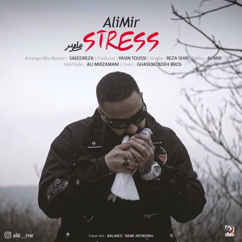 ali mir stress 2024 01 30 20 19