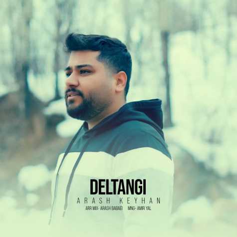 arash keyhan deltangi 2024 02 17 17 04