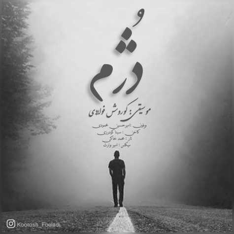 koroush fooladi doxham 2024 02 01 22 37