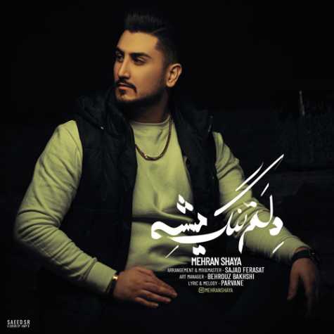 دانلود آهنگ مهران شایا دلم تنگ میشه 1 mehran shaya delam tang mishe 2024 02 01 22 02