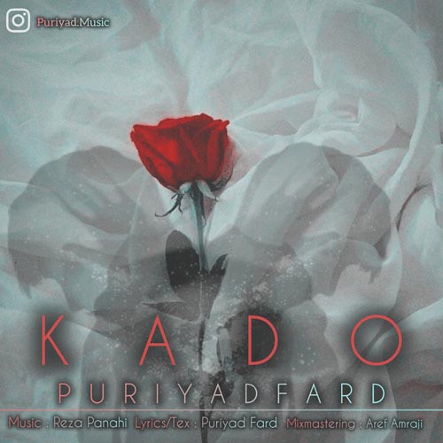 دانلود آهنگ پوریاد فرد کادو 1 pouriyad fard kado 2024 02 20 21 20