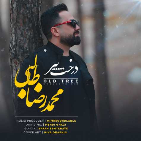mohammadreza talebi darakhte pir 2024 03 10 20 24