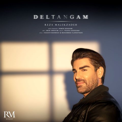 دانلود آهنگ رضا ملک زاده دلتنگم 1 reza malekzadeh deltangam 2024 04 09 12 21