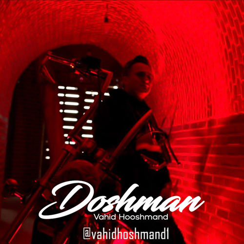 vahid hooshmand doshman 2024 04 13 13 59