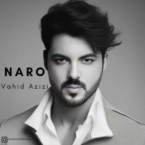 دانلود آهنگ وحید عزیزی نرو 1 vahid azizi naro 2024 05 30 09 40