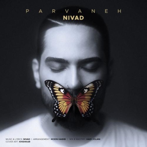 nivad parvaneh 2024 06 10 16 19