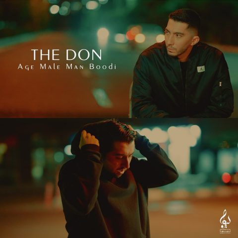 the don age male man boodi 2024 08 04 03 20