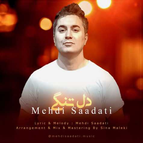 mehdi saadati deltangi 2025 02 15 17 26