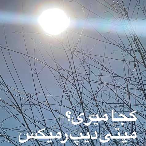 meytideepe koja miri remix 2025 02 05 08 26