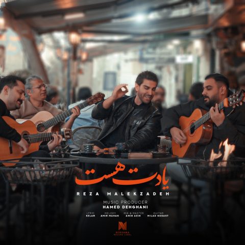 دانلود آهنگ رضا ملک زاده یادت هست 1 reza malekzadeh yadet hast 2025 02 12 16 02