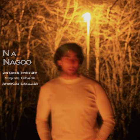 دانلود آهنگ سروش صابر نه نگو 1 soroush saber na nagoo 2025 02 21 12 28
