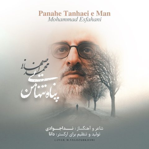 دانلود آهنگ محمد اصفهانی پناه تنهایی من 1 mohammad esfahani panahe tanhaei man 2025 03 03 14 22