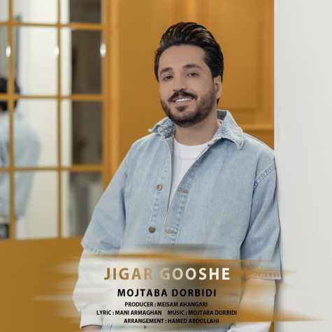 دانلود آهنگ مجتبی دربیدی جیگر گوشه 1 mojtaba dorbidi jigar gooshe 2025 03 09 12 34