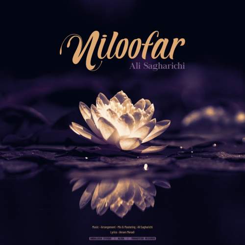 دانلود آهنگ علی ساغریچی نیلوفر 1 ali sagharichi niloofar 2025 05 18 08 52