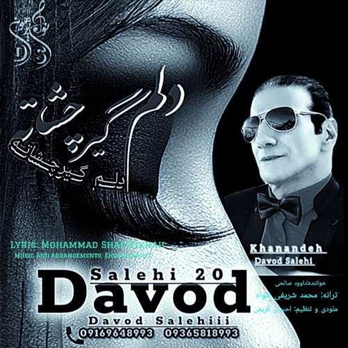 davood salehi delam gire cheshate 2025 05 21 12 12