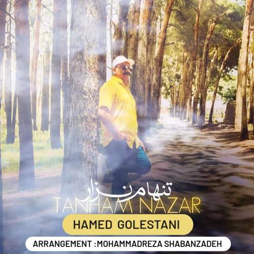 hamed golestani tanham nazar 2025 05 28 18 32