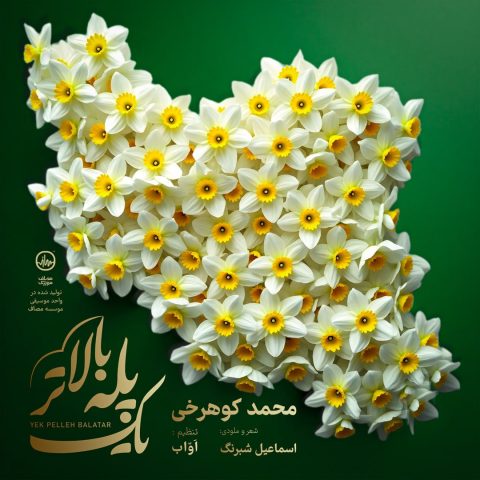 دانلود آهنگ محمد کوهرخی یک پله بالاتر 1 mohammad koohrokhi yek pelle balatar 2025 05 03 13 50