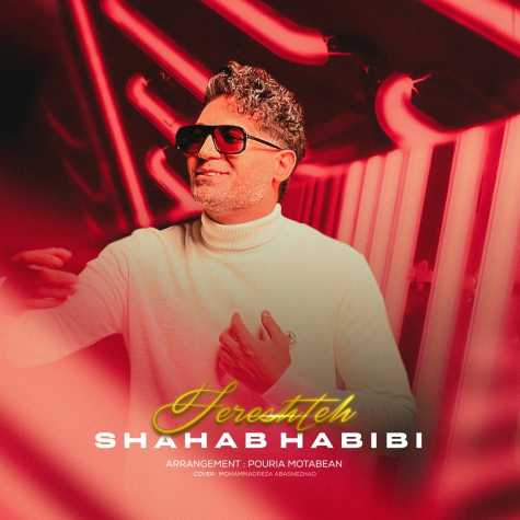 shahab habibi fereshteh 2025 05 18 10 48