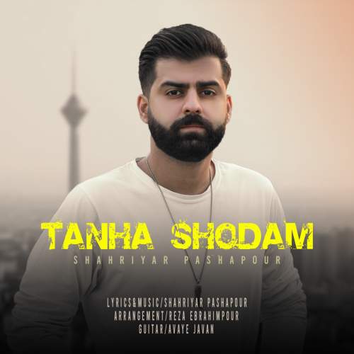 shahriyar pashapour tanha shodam 2025 05 14 18 05