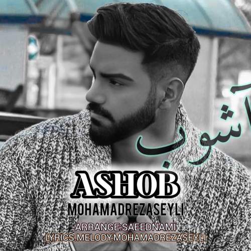 mohamadreza seyli ashob 2025 06 12 12 34