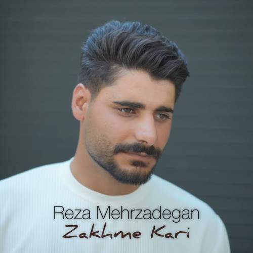 دانلود آهنگ رضا مهرزادگان زخم کاری 1 reza mehrzadegan zakhme kari 2025 07 21 12 44