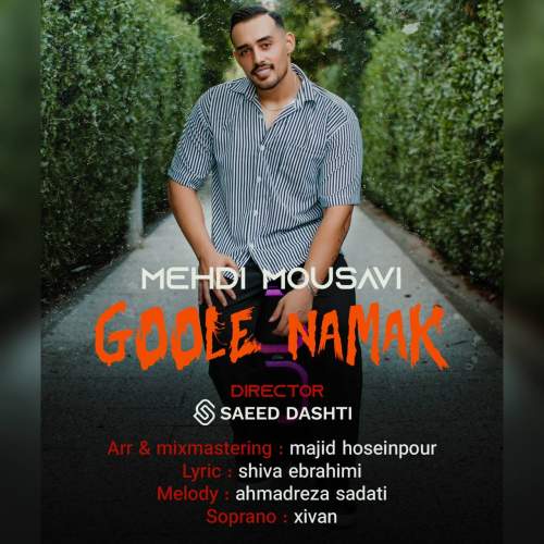 دانلود آهنگ مهدی موسوی گوله نمک 1 mehdi mousavi goole namak 2025 09 16 16 00
